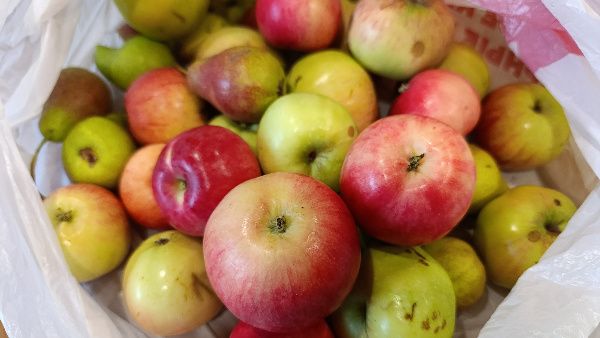 ������� ������� �������� �����: ������ �� �����