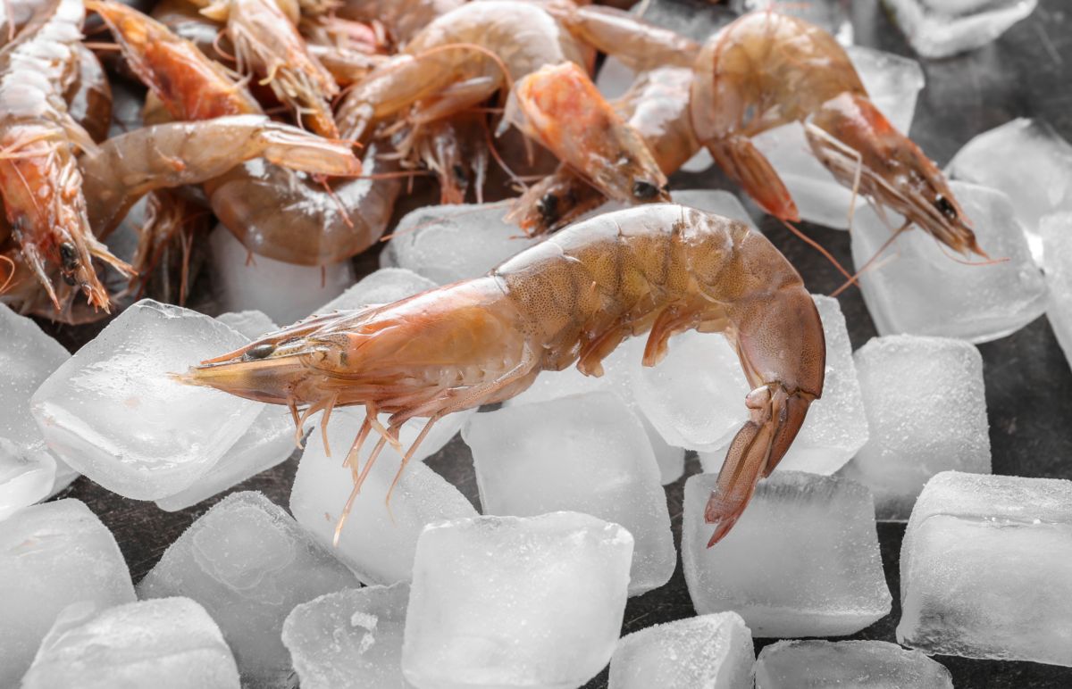 ������� ���������: ��� ��������� �������� ������������ �������� �� ����� ����