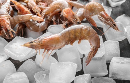 ������� ���������: ��� ��������� �������� ������������ �������� �� ����� ����