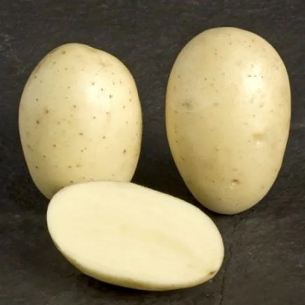 ��������� ��� �� �����: ������� ���������� ������ � ���������������� �����