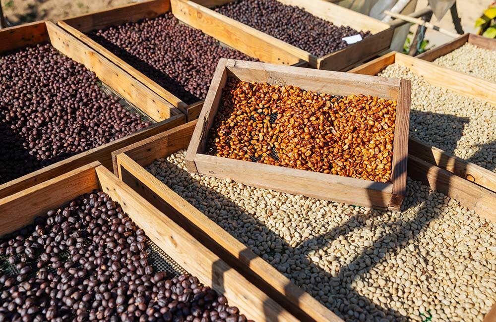 ��� ��������� ���� ��������� ��� ���������� �������� �����?