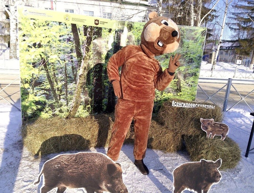 ����� ������������ ���������� �� ��������� � ��������