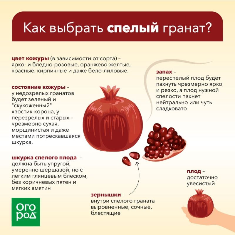 ����� ������ ���� ������������ ������ �������?