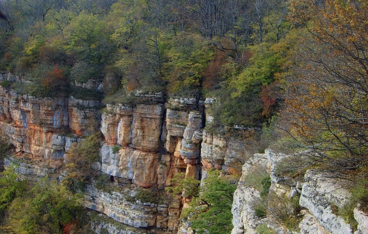 ������� ������� ����: ������� ������� � ���� �������