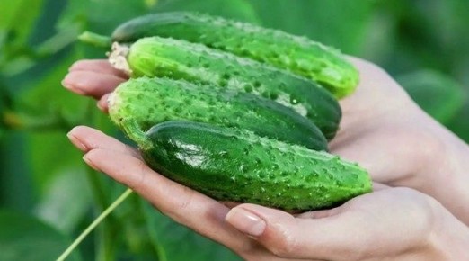 ����� �� ������� �� ����: ������� ������ ��������� ������ ��������