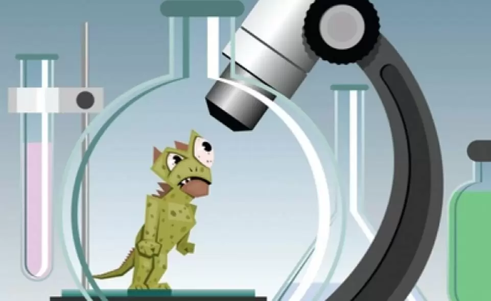 Как мука животного происхождения может угрожать здоровью: риски бактериального заражения