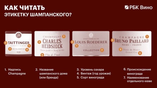 Разбираемся в шампанском: как читать этикетку