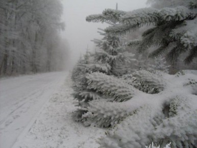 ��� ��������� ������� � ������������� ���������� ����, ����� �� ��������� ��������?