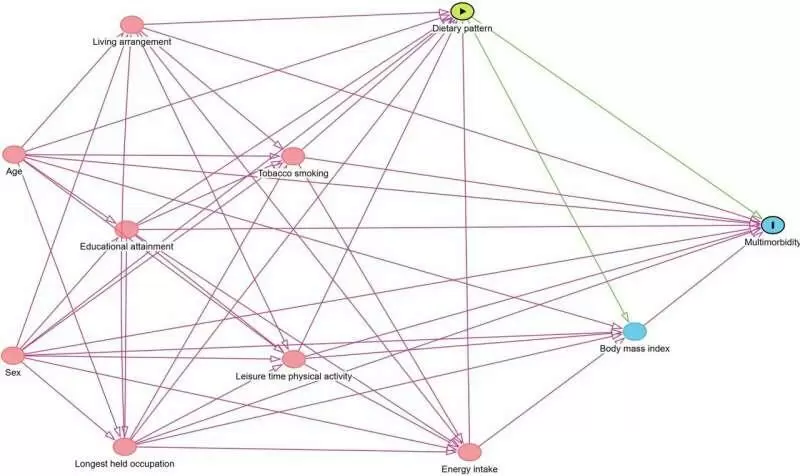 Овощи против болезней: как питание влияет на старение тела и мозга