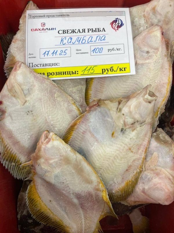 ������� �� �������� ����: ������ �������!