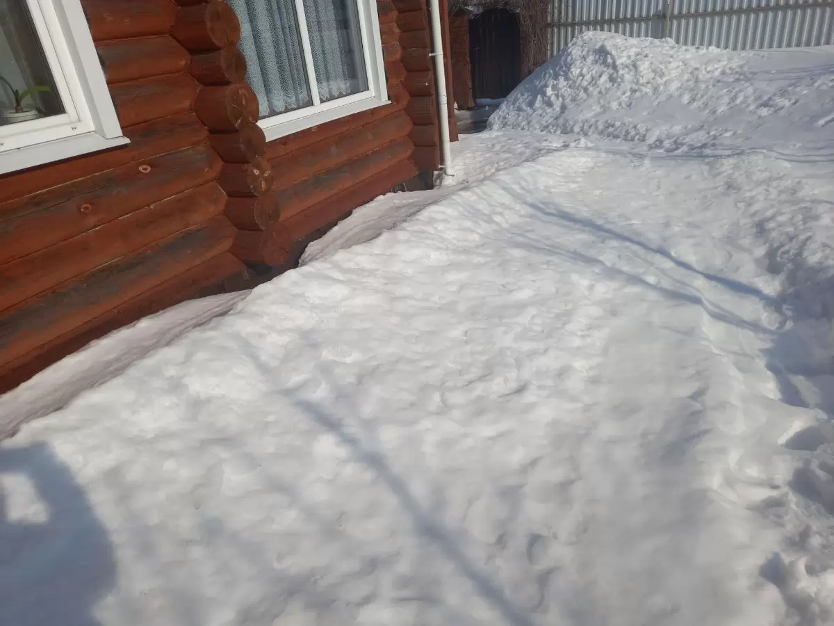 Экономия без ИИ: кто за текстами на канале?