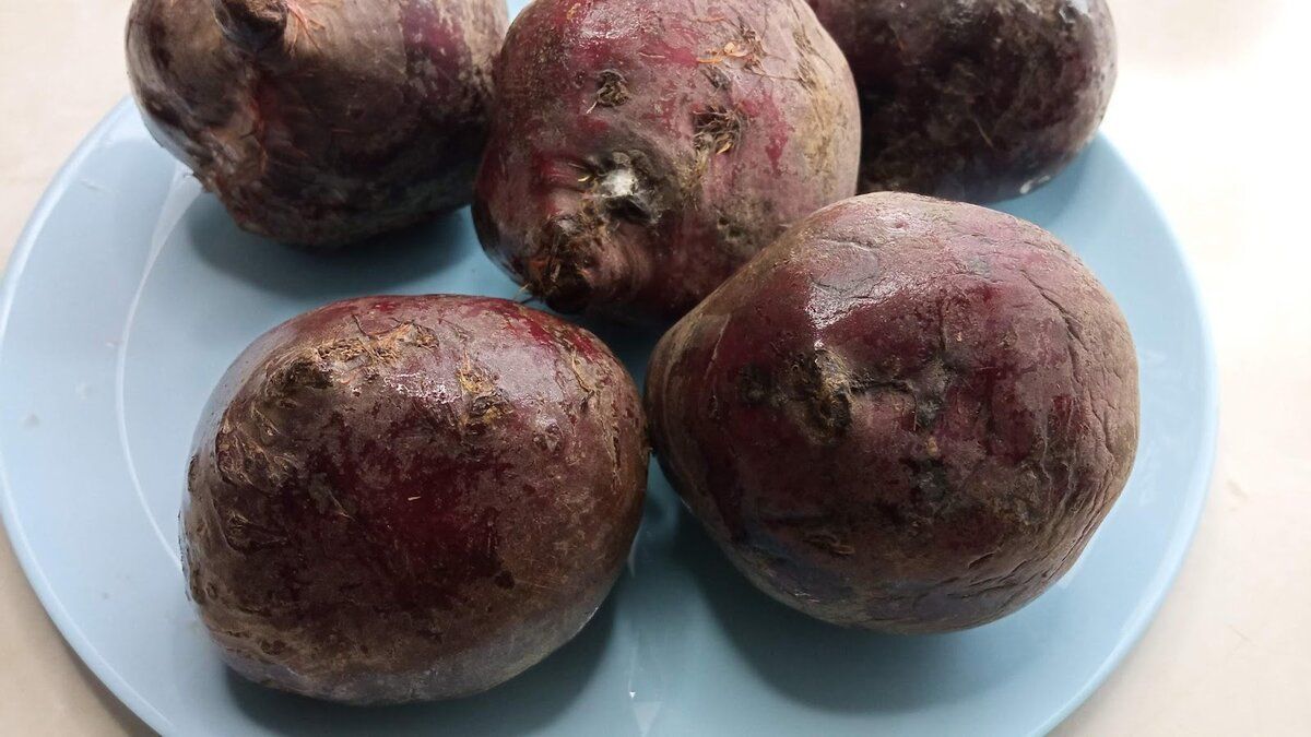 ���� �� �����: ��� ������� ����� �� 15 ����� � �� ���������?