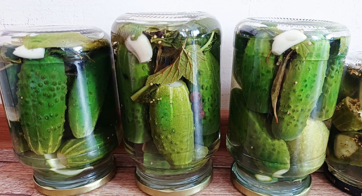 ���������� ��������� �������� �� ����: ��� ������ � ������������