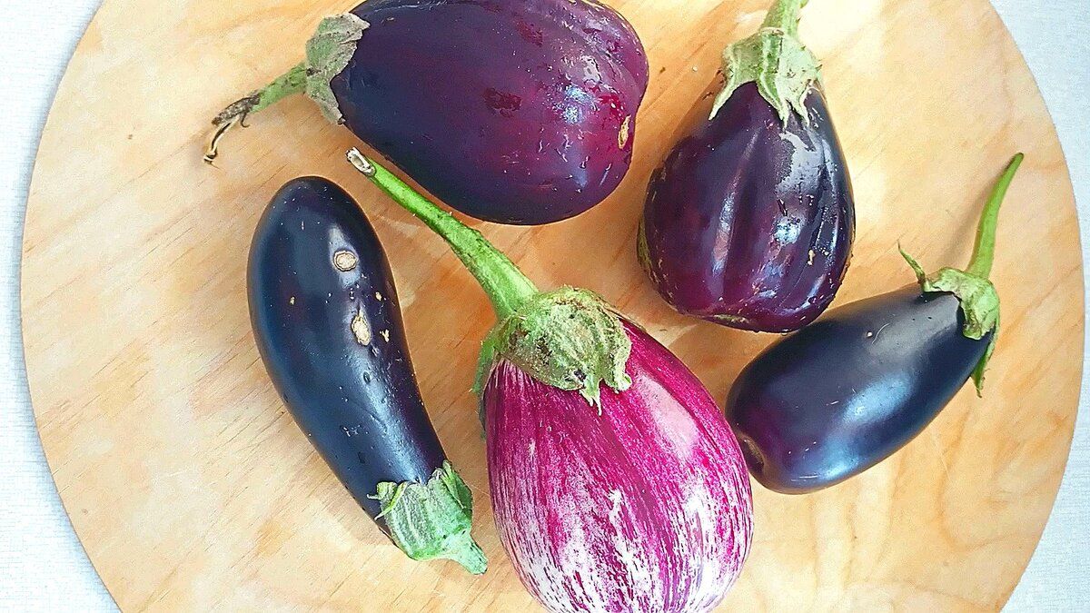 ������ ��������� ����������� ����� �� ����� �����