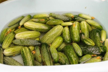 ������� ��������� �������: ��� ��������, ����� ������� ����� ��������� ���������� ���������