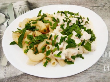 ������ ������ ���� � ����� � �������� � ���������