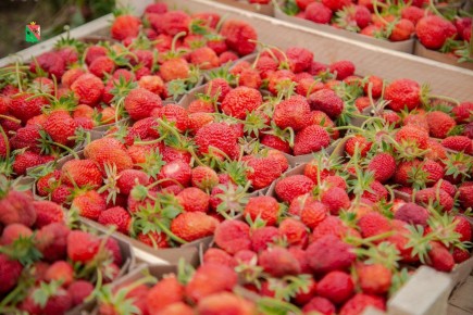 ���� �������� � ����������� �������: ������������ ��������� � ������� �����