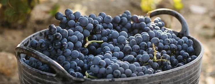 ������ � ������ �������������� ������� ����: ��� ����������� � ��� �������