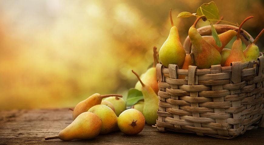 Невероятные блюда из осенних груш для домашнего уюта