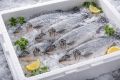 Россия обновляет стандарты: новый ГОСТ на мороженую рыбу