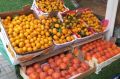 Листья на мандарине не меняют вкус и качество продукта